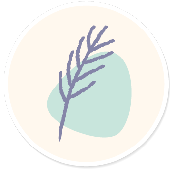 illustration symbolizing calm and sensory